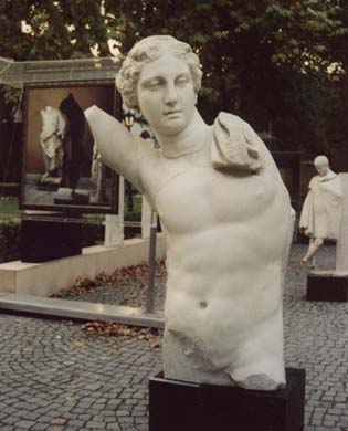 114-Male torso