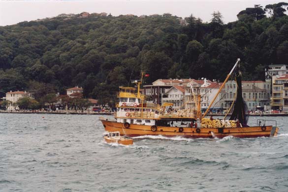 120-Boat trip-k