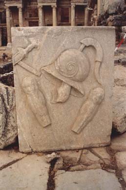 140-Plaque of armors-1