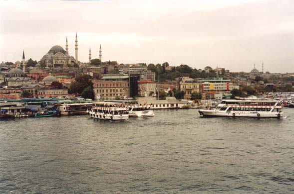 120-Emunome