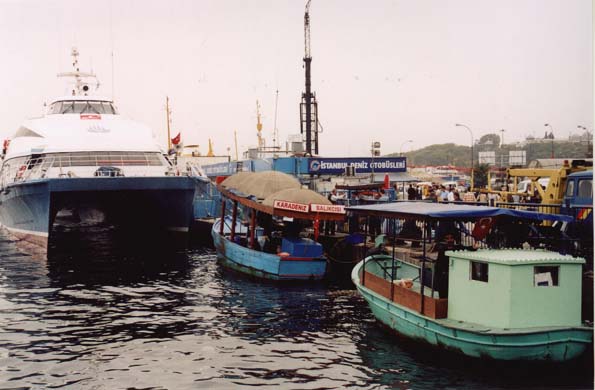 125-Fish sandwich boats-b