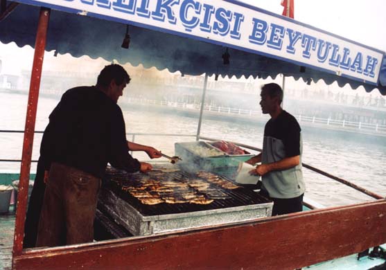 126-Fish sandwich boat-a