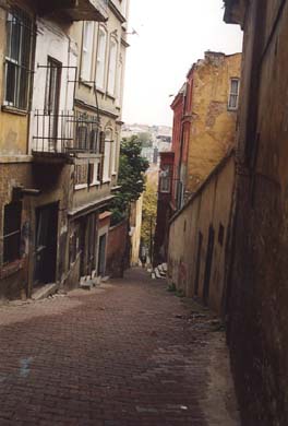 135-Street scene-b