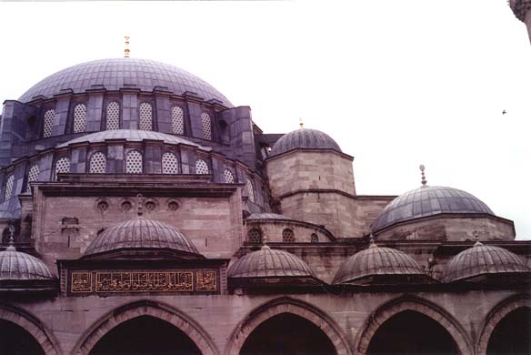 147-Main structure