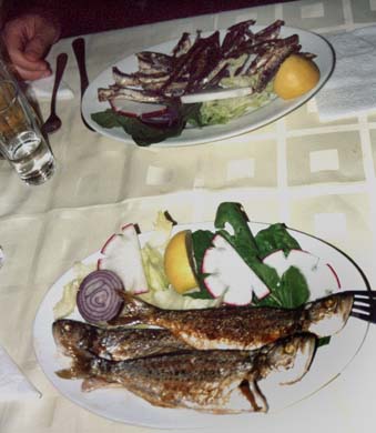 167-Grilled bronzinos at Rafik