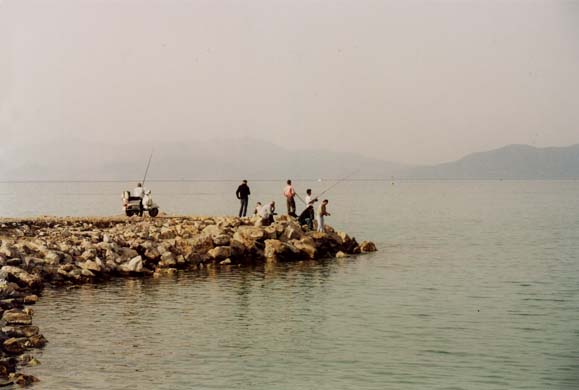 d-Men fishing