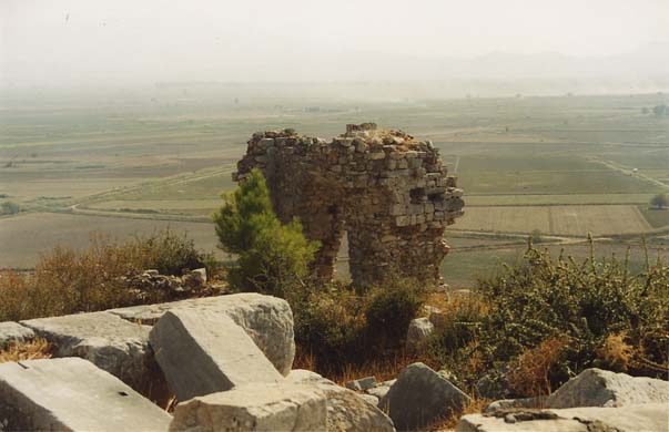 111-View of the field