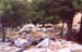 107-Collapsed pillar pieces