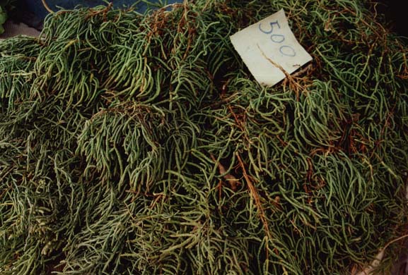 109-String-like vegetable
