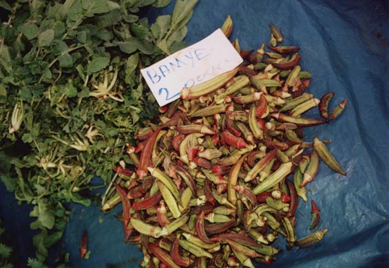 110-Vegetables