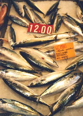 117-Fish market-a