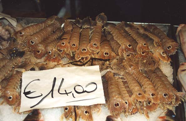 119-Fish market-b