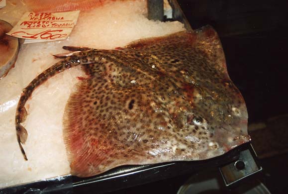 120-Fish market-e
