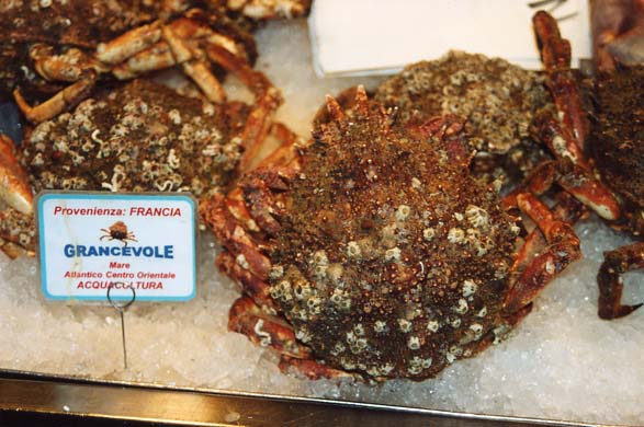 121-Fish market-d