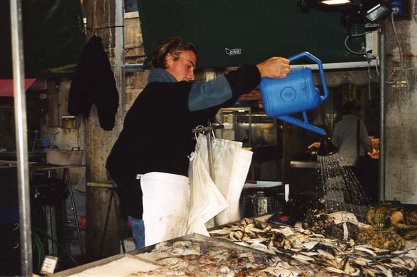 123-Fish market-c