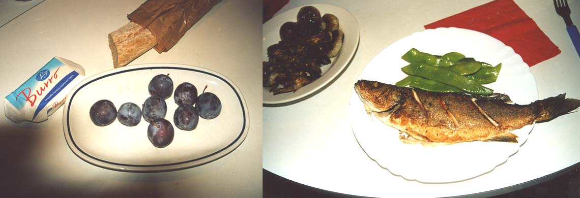 137-Dinner bronzino