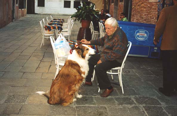 158-Dog-g