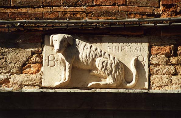 161-Dog-b