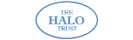 Halo Foundation 