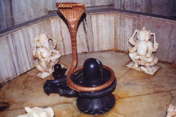 135-cobra-and-lingam