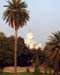126-mosque-1
