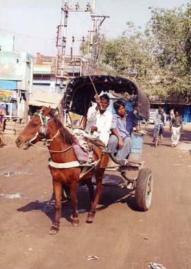 114-Fatehpur-horsecart-1-2