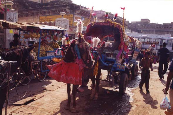 119-Horse cart-b