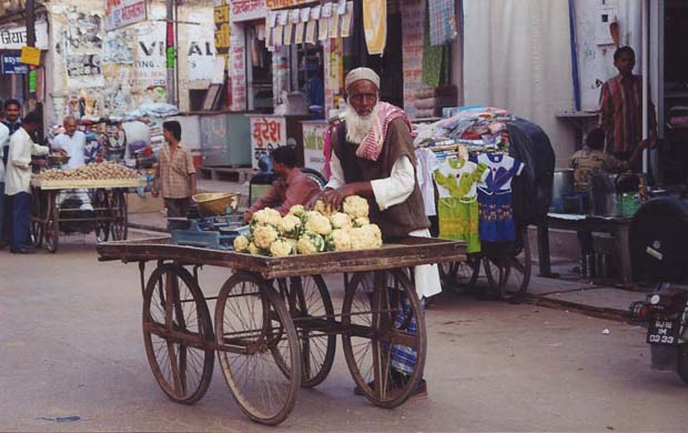 131-cauliflower vendor