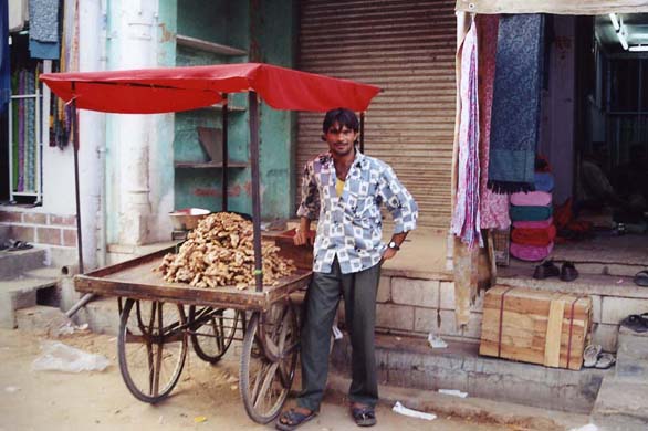 133-Gingervendor