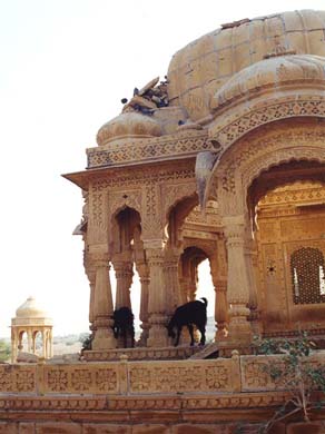 103-Royal-Cenotaph-2