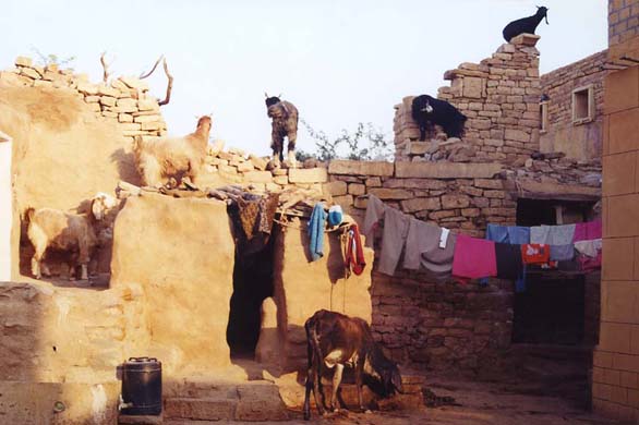 126-Jaisalmer-fort-town-scen-04