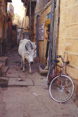 128-Jaisalmer-fort-town-scen-01