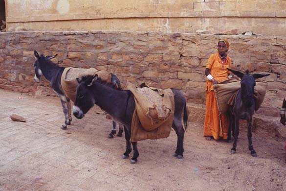 135-Jaisalmer-fort-town-scene-6
