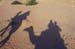 1776-Us-at-a-dune-2