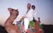 1787-Camel-safari-8