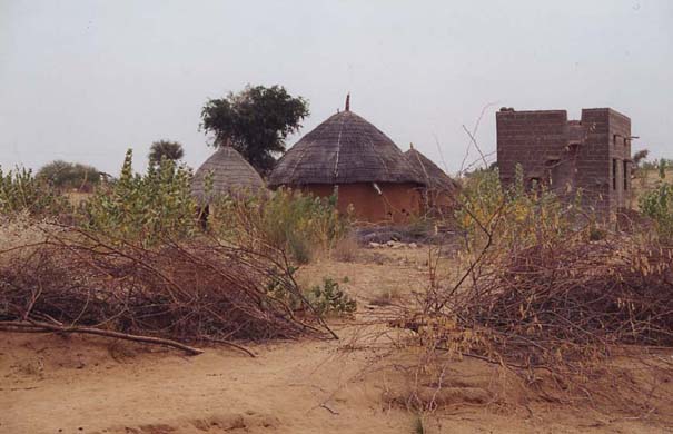 127-Village-mud-huts-21