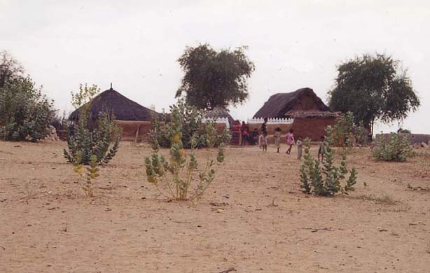 128-Village-mud-huts-1