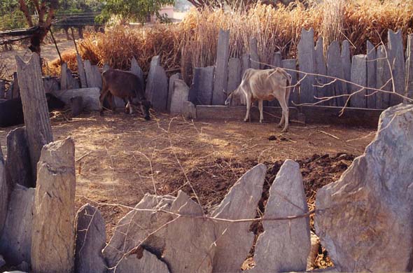 128-Stone fence