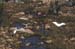 126-Herons-2