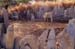 128-Stone fence