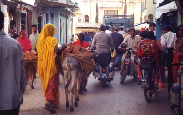 151-Donkey-traffic-1