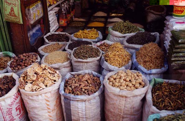106-Nathdwara-6