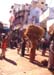 103-Nathdwara-3