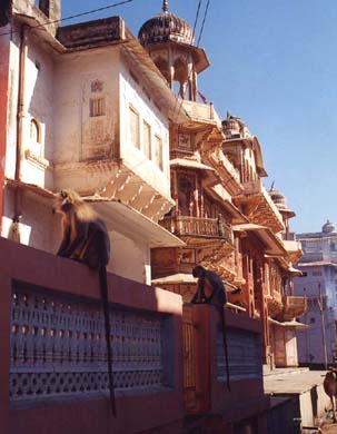 116-Painted-house-2