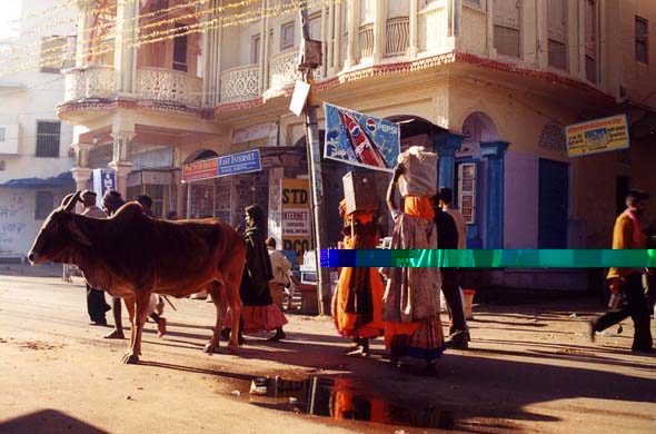 118-Pushkar-down-town-4