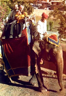 121-Elephant ride