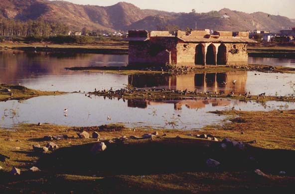 147-Jal Mahal-4