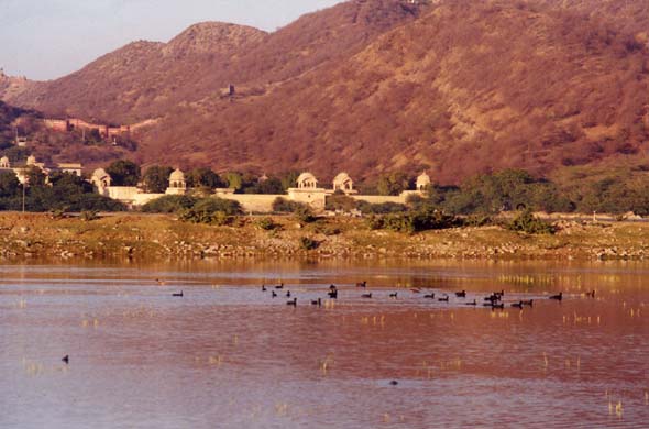 148-Jal Mahal-3