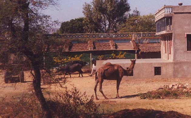 164-Camel