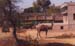 164-Camel